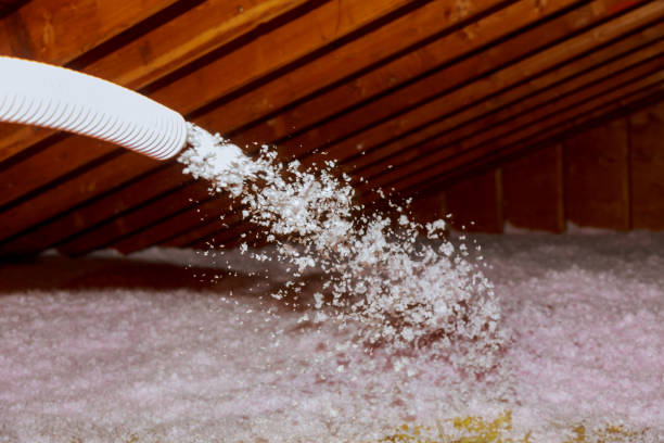 Best Spray Foam Insulation in Brandon, FL