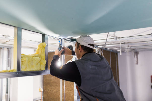 Best Blown-in Insulation in Brandon, FL
