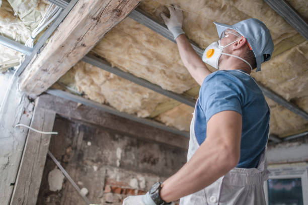 Best Eco-Friendly Insulation in Brandon, FL