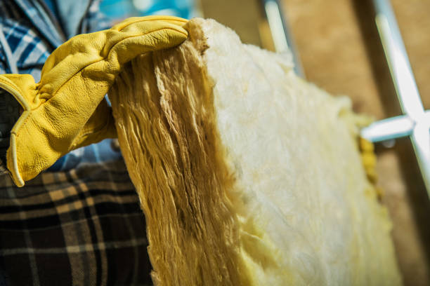 Types of Insulation We Offer in Brandon, FL