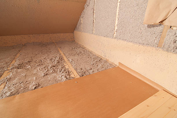 Best Cellulose Insulation in Brandon, FL